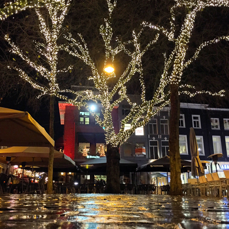 Boom verlicht in kerstsfeer in de binnenstad Breda in de nacht