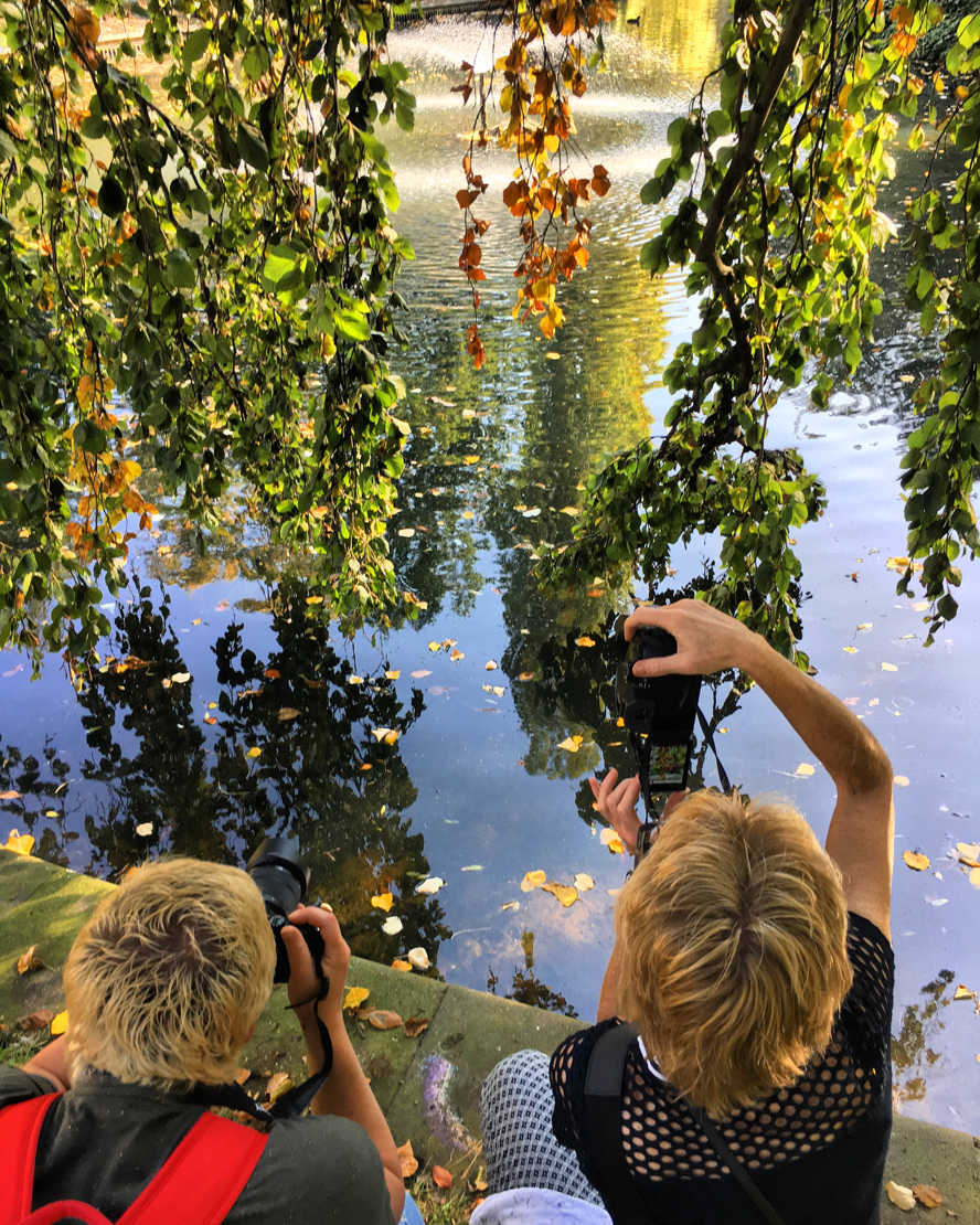 Fotografen kijken omhoog met hun camera en nemen foto van boom in tegenlicht