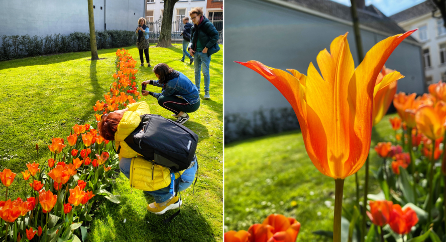 Slow Flow Photo Walk - groep mensen fotografeert oranje tulpen in close-up