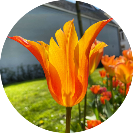 Slow Flow Photo Walk en nabespreking boeken