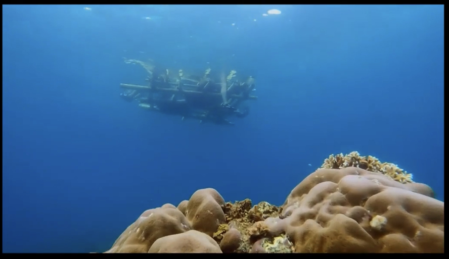 Million Dollar Island - Het vlot van onderaf gezien, Hakuna Matata op zee